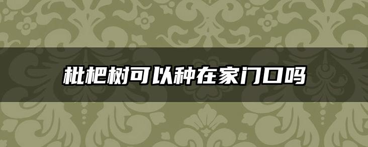 枇杷树可以种在家门口吗