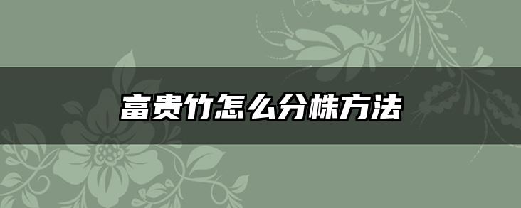 富贵竹怎么分株方法