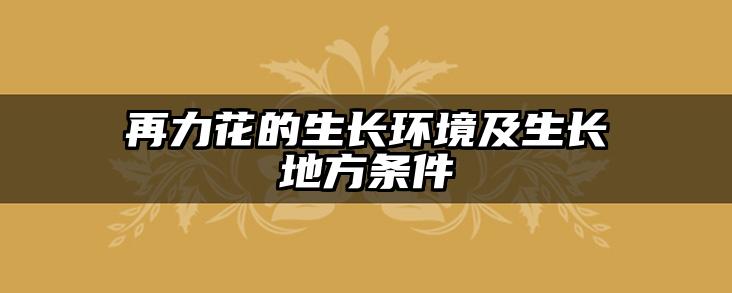 再力花的生长环境及生长地方条件