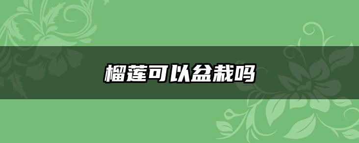 榴莲可以盆栽吗