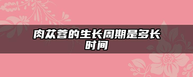 肉苁蓉的生长周期是多长时间