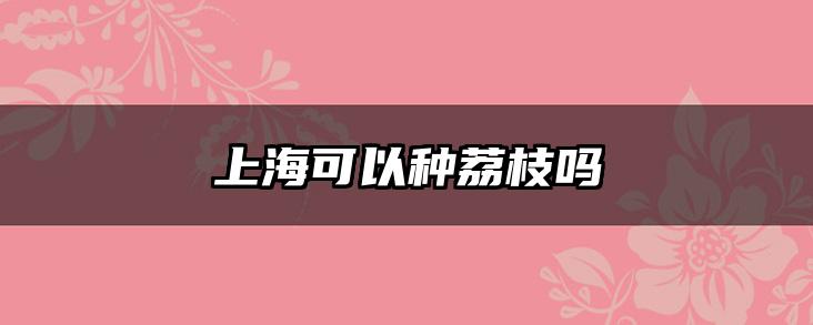 上海可以种荔枝吗