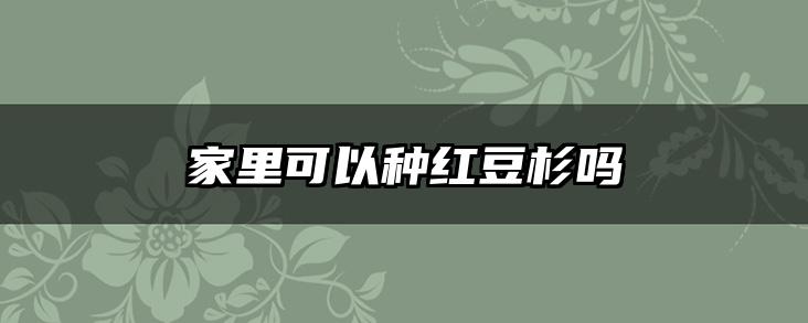 家里可以种红豆杉吗