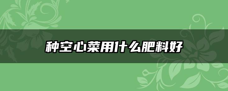 种空心菜用什么肥料好