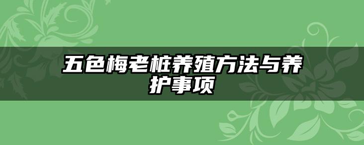 五色梅老桩养殖方法与养护事项