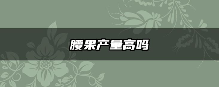 腰果产量高吗