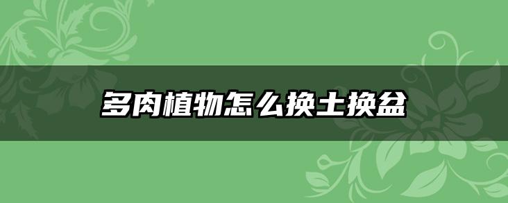 多肉植物怎么换土换盆