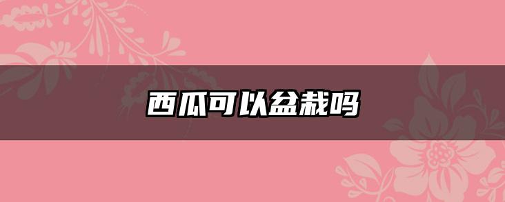 西瓜可以盆栽吗