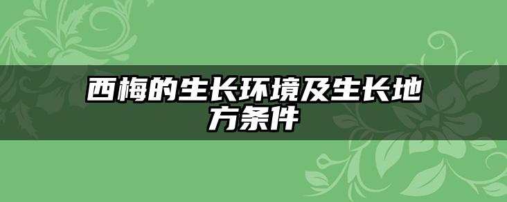 西梅的生长环境及生长地方条件