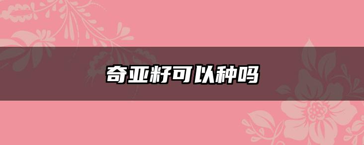 奇亚籽可以种吗