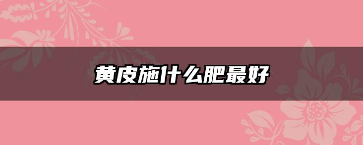 黄皮施什么肥最好