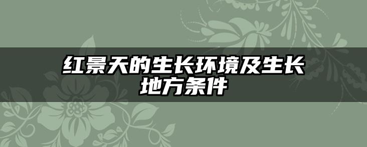 红景天的生长环境及生长地方条件