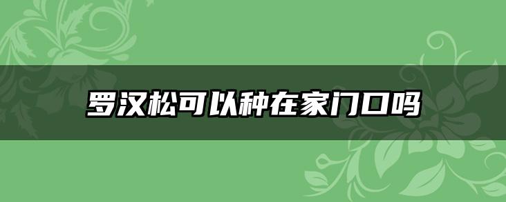 罗汉松可以种在家门口吗