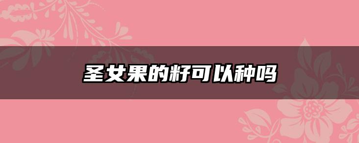 圣女果的籽可以种吗