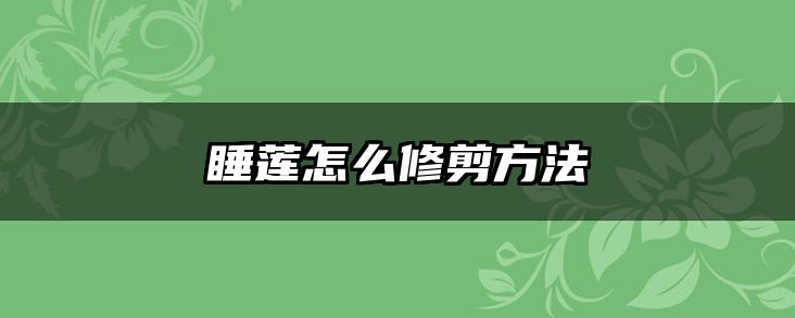 睡莲怎么修剪方法