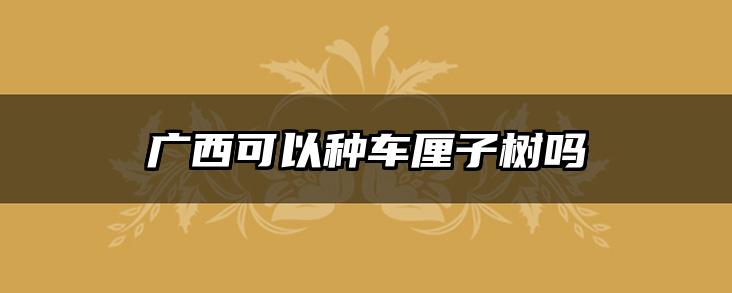 广西可以种车厘子树吗
