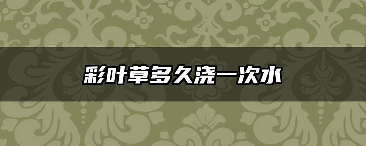 彩叶草多久浇一次水