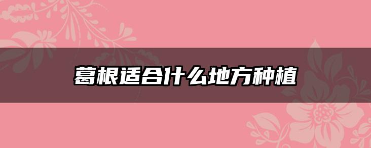 葛根适合什么地方种植