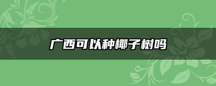 广西可以种椰子树吗