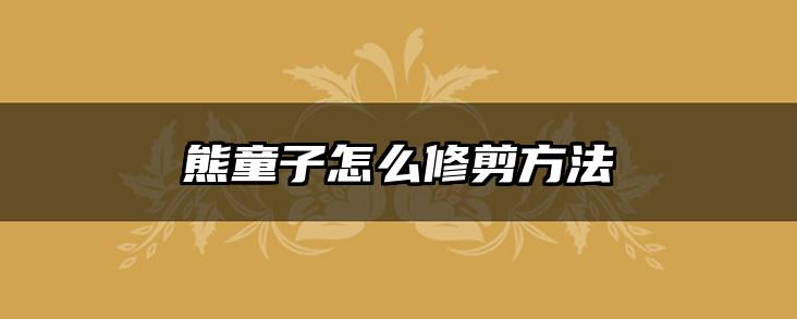 熊童子怎么修剪方法