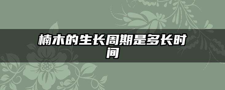 楠木的生长周期是多长时间