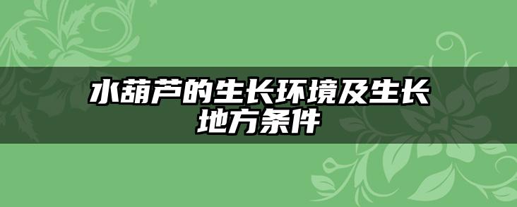 水葫芦的生长环境及生长地方条件