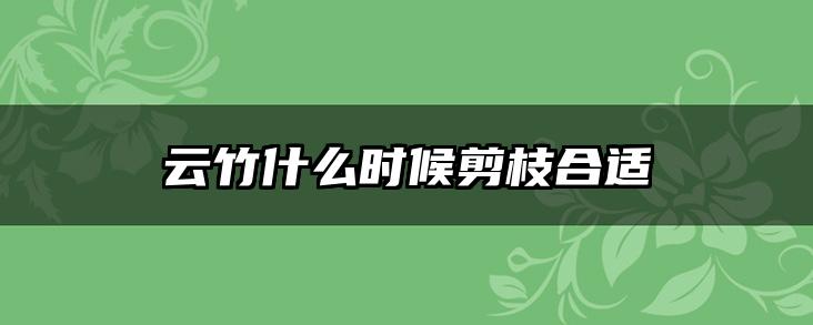 云竹什么时候剪枝合适