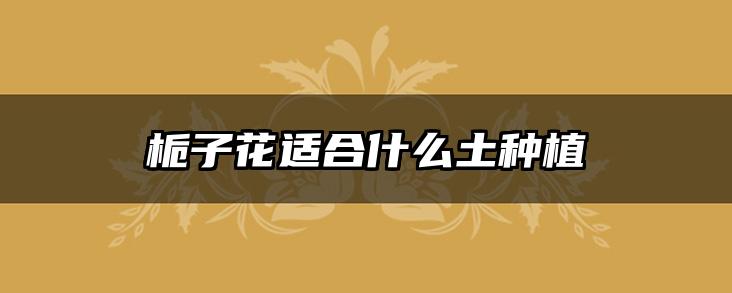 栀子花适合什么土种植