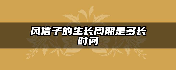 风信子的生长周期是多长时间