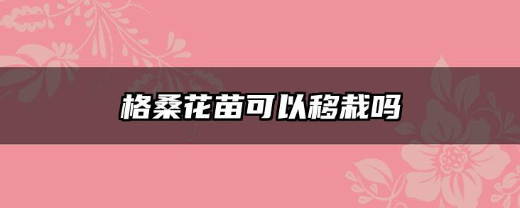 格桑花苗可以移栽吗