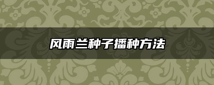风雨兰种子播种方法