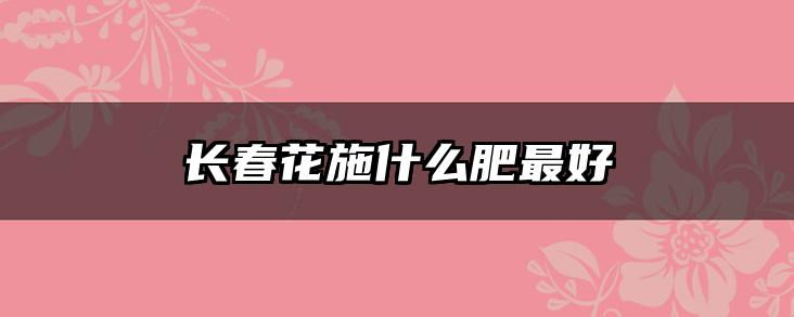 长春花施什么肥最好