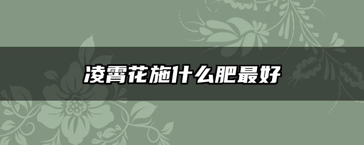 凌霄花施什么肥最好