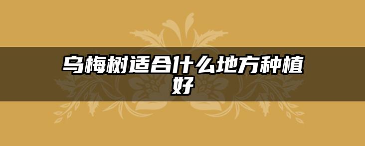 乌梅树适合什么地方种植好