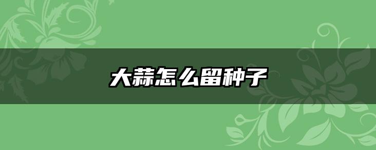 大蒜怎么留种子