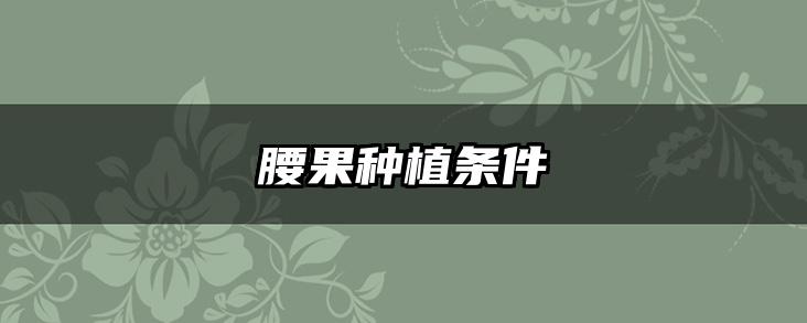 腰果种植条件