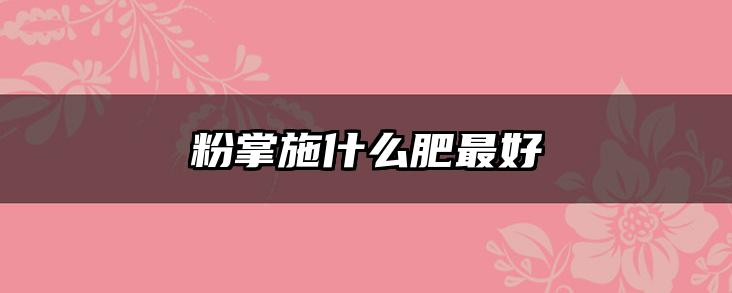 粉掌施什么肥最好