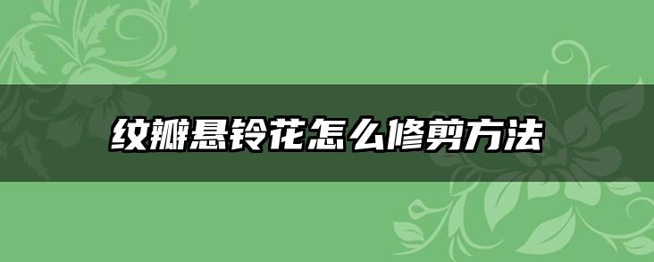 纹瓣悬铃花怎么修剪方法