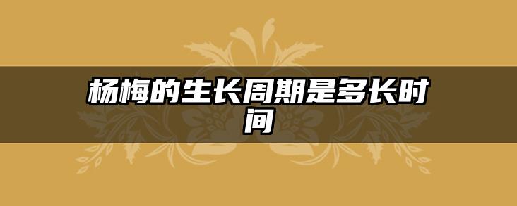 杨梅的生长周期是多长时间