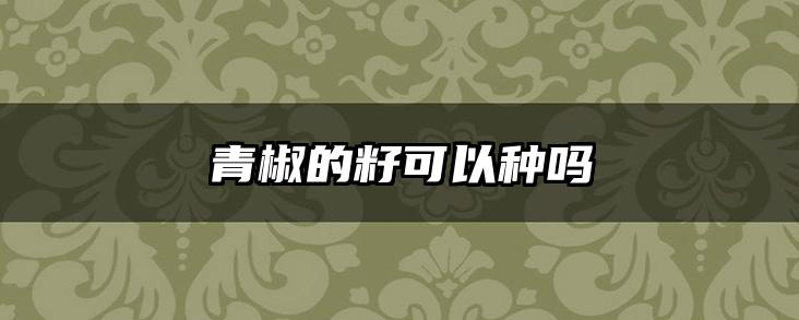 青椒的籽可以种吗