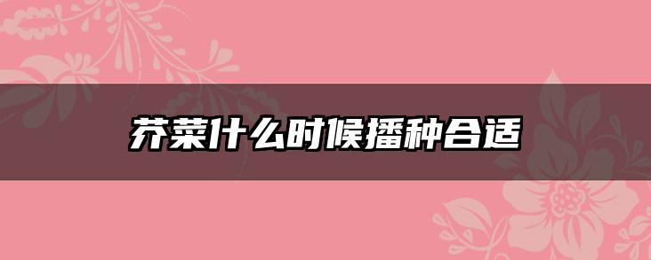 芥菜什么时候播种合适