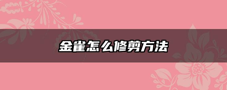 金雀怎么修剪方法