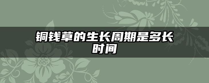 铜钱草的生长周期是多长时间