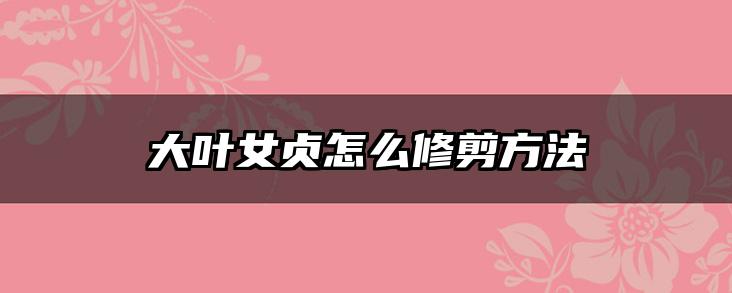 大叶女贞怎么修剪方法
