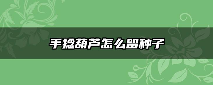 手捻葫芦怎么留种子