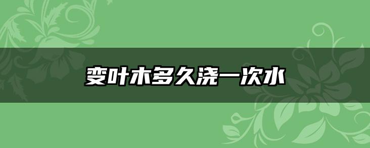变叶木多久浇一次水