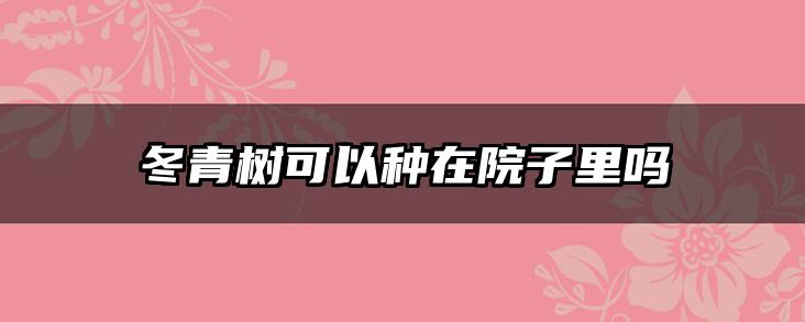 冬青树可以种在院子里吗