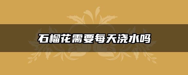 石榴花需要每天浇水吗