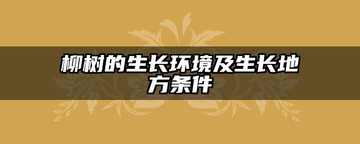 柳树的生长环境及生长地方条件