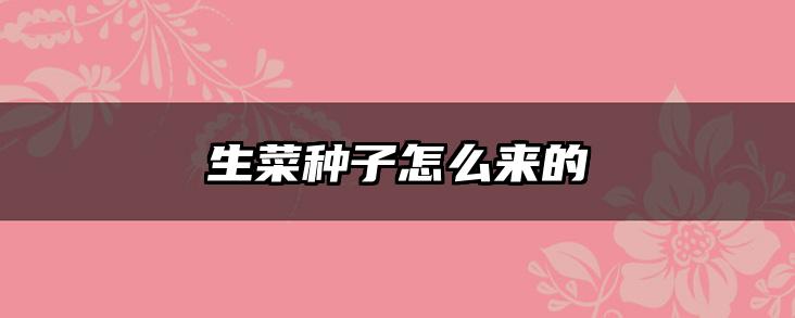 生菜种子怎么来的